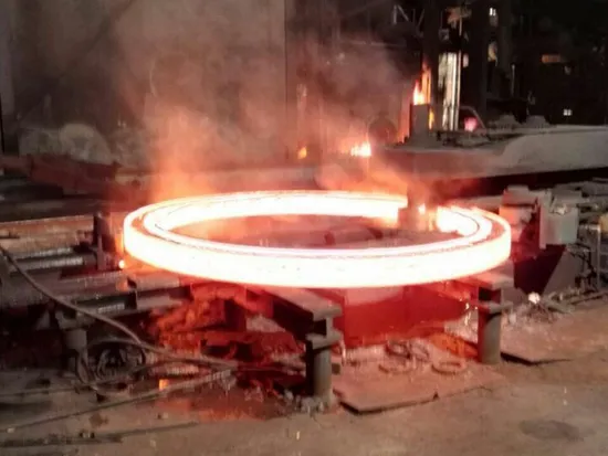 Manufacturer Stainless Steel Pipe Fitting Large Diameter Retort Flange Pn6/10/16/25/40